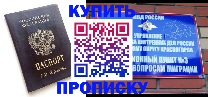 прописка поиск в Порхове